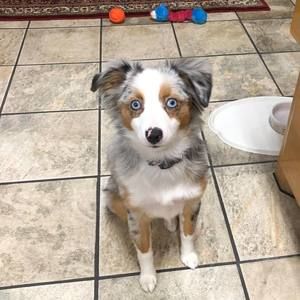 Meet your Posher, Mary